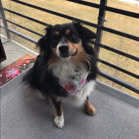 Like to bookmark hers_his_ours! - Picture 2 of 3